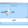 Английский язык. Освоение клавиатуры - «globural.ru» - Великие Луки