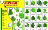 Демонстрационные карточки "Деревья и кустарники" - «globural.ru» - Великие Луки