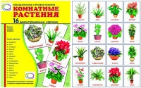 Демонстрационные карточки "Комнатные растения" - «globural.ru» - Великие Луки