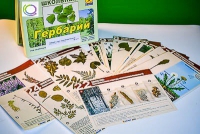 Гербарий к курсу основ общей биологии - «globural.ru» - Великие Луки