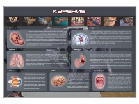 Стенд "Курение" (вариант 1) - «globural.ru» - Великие Луки