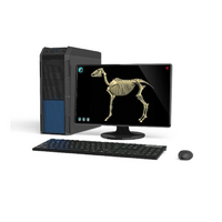 Макет масштабный «Скелет Лошади» Масштаб 1:2 - «globural.ru» - Великие Луки