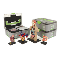 Учебный набор "Анатомия в деталях" - «globural.ru» - Великие Луки