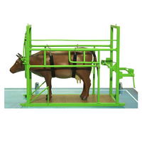 Наглядный макет «Методы и устройства для фиксации КРС» - «globural.ru» - Великие Луки