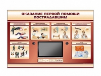 Многофункциональный интерактивный стенд-тренажер "Оказание первой помощи пострадавшим" для учащихся общеобразовательных учреждений - «globural.ru» - Великие Луки