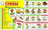 Демонстрационные карточки  "Грибы съедобные и не съедобные" - «globural.ru» - Великие Луки