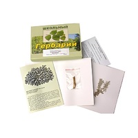 Гербарий "Водоросли. Грибы. Лишайники" (раздаточный) - «globural.ru» - Великие Луки