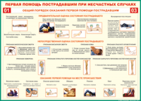  Таблица Общий порядок оказания первой помощи пострадавшим 1000*1400 винил	 - «globural.ru» - Великие Луки
