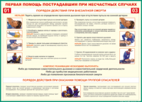 Таблица Порядок действий при внезапной смерти 1000*1400 винил - «globural.ru» - Великие Луки