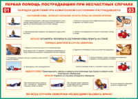 Таблица Порядок действий при коматозном состоянии пострадавшего 1000*1400 винил - «globural.ru» - Великие Луки