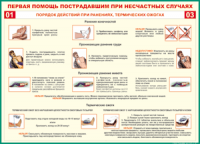 Таблица Порядок действий при ранениях и термических ожогах	 1000*1400 винил - «globural.ru» - Великие Луки