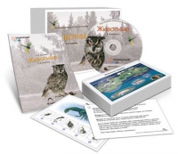 Комбинированное наглядное пособие «Животные» - «globural.ru» - Великие Луки