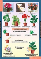 Окружающий мир 1 класс (комплект таблиц) - «globural.ru» - Великие Луки