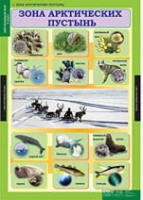 Окружающий мир 4 класс (комплект таблиц) - «globural.ru» - Великие Луки