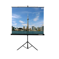 Проекционный экран на штативе Lumien Eco View (LEV-100105) 160x160 см - «globural.ru» - Великие Луки