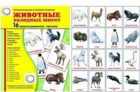 Демонстрационные карточки "Животные холодных широт" - «globural.ru» - Великие Луки