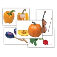 Набор предметных картинок "Овощи. Музыкальные инструменты" - «globural.ru» - Великие Луки