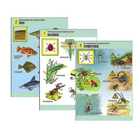 Комплект таблиц для начальной школы "Окружающий мир. Животный мир" - «globural.ru» - Великие Луки