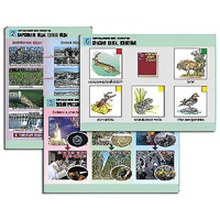 Комплект таблиц для  начальной школы "Окружающий мир. Экология" - «globural.ru» - Великие Луки