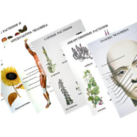 Таблицы по природоведению 1-3 класс - «globural.ru» - Великие Луки