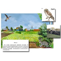 Магнитный плакат-аппликация "Поле: биоразнообразие и взаимосвязи в сообществе" - «globural.ru» - Великие Луки