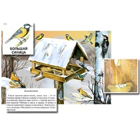 Магнитный плакат-аппликация "Биоразнообразие и экологические группы. Птицы зимой" - «globural.ru» - Великие Луки