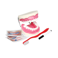 Игровой комплект "Чистим зубы" - «globural.ru» - Великие Луки