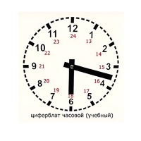 Часовой циферблат раздаточный - «globural.ru» - Великие Луки