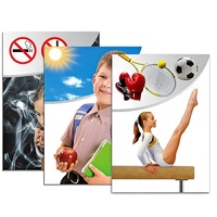 Модель-аппликация "Здоровье человека" - «globural.ru» - Великие Луки