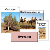 Модель-аппликация "Природные зоны России" - «globural.ru» - Великие Луки