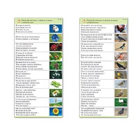 Комплект карточек (10) "Обучающий калейдоскоп. Природа" - «globural.ru» - Великие Луки