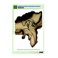 Рельефная таблица "Археоптерикс" (формат А1, матовое ламинир.) - «globural.ru» - Великие Луки