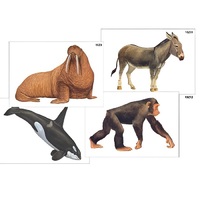 Модель-аппликация "Разнообразие высших хордовых 2. Млекопитающие" (ламинированная) - «globural.ru» - Великие Луки