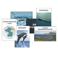 Модель-аппликация "Океаны. Знакомство" (ламинированная) - «globural.ru» - Великие Луки
