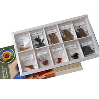 Коллекция "Плоды сельскохозяйственных растений" (вариант 2) - «globural.ru» - Великие Луки