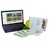 Гербарий натурально-интерактивный "Лекарственные растения" - «globural.ru» - Великие Луки