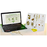 Гербарий натурально-интерактивный "Морфология растений" - «globural.ru» - Великие Луки