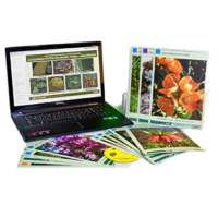 Гербарий натурально-интерактивный "Основные группы растений. Грибы. Лишайники" - «globural.ru» - Великие Луки