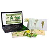 Гербарий натурально-интерактивный "Растительные сообщества. Лес" - «globural.ru» - Великие Луки