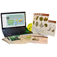 Гербарий натурально-интерактивный к курсу основ общей биологии - «globural.ru» - Великие Луки