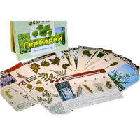 Гербарий к курсу основ общей биологии - «globural.ru» - Великие Луки