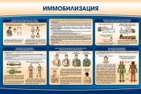 Стенд "Иммобилизация" - «globural.ru» - Великие Луки