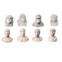 Набор палеонтологических муляжей - «globural.ru» - Великие Луки