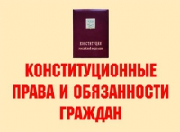 Комплект плакатов "Конституционные права и обязанности граждан" - «globural.ru» - Великие Луки