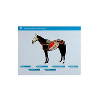 Стенд-планшет светодинамический "Изучение пищеварительной системы сельскохозяйственных животных" со сменными панелями - «globural.ru» - Великие Луки