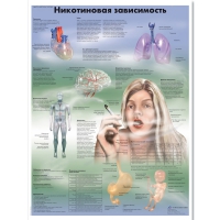 Плакат "Никотиновая зависимость", ламинированный, 50*67 см - «globural.ru» - Великие Луки