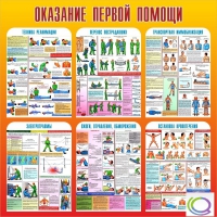 Стенд "Оказание первой помощи" - «globural.ru» - Великие Луки