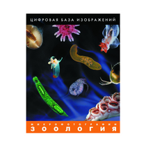 Зоология. Микрофотографии. (Цифровая база изображений) - «globural.ru» - Великие Луки