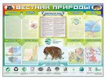 Стенд-уголок "Вестник природы" (вариант 1) - «globural.ru» - Великие Луки