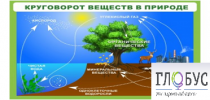 Стенд "Круговорот веществ" - «globural.ru» - Великие Луки